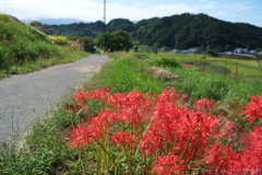 明日香村　大字阪田
