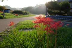 明日香村　大字祝戸
