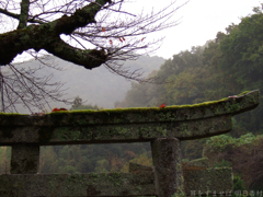 明日香村　大字稲渕
