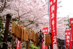 明日香村　大字岡　岡本寺