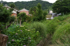 明日香村　大字立部