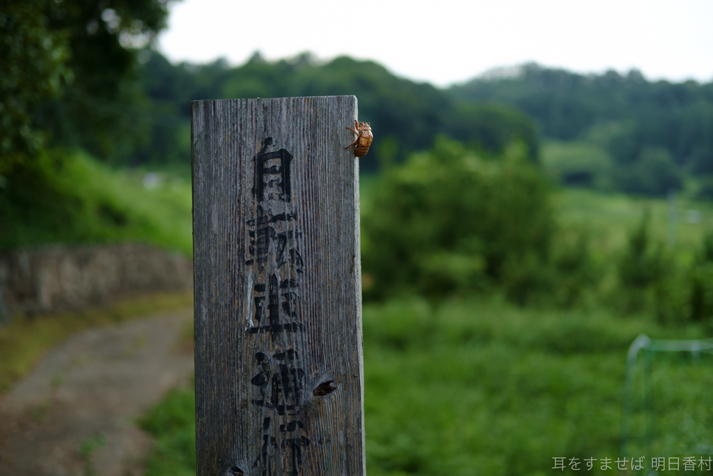 明日香村　大字川原