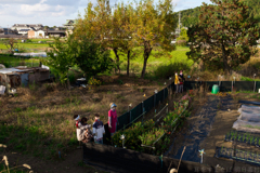 桜井市　山辺の道