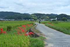 明日香村　大字岡