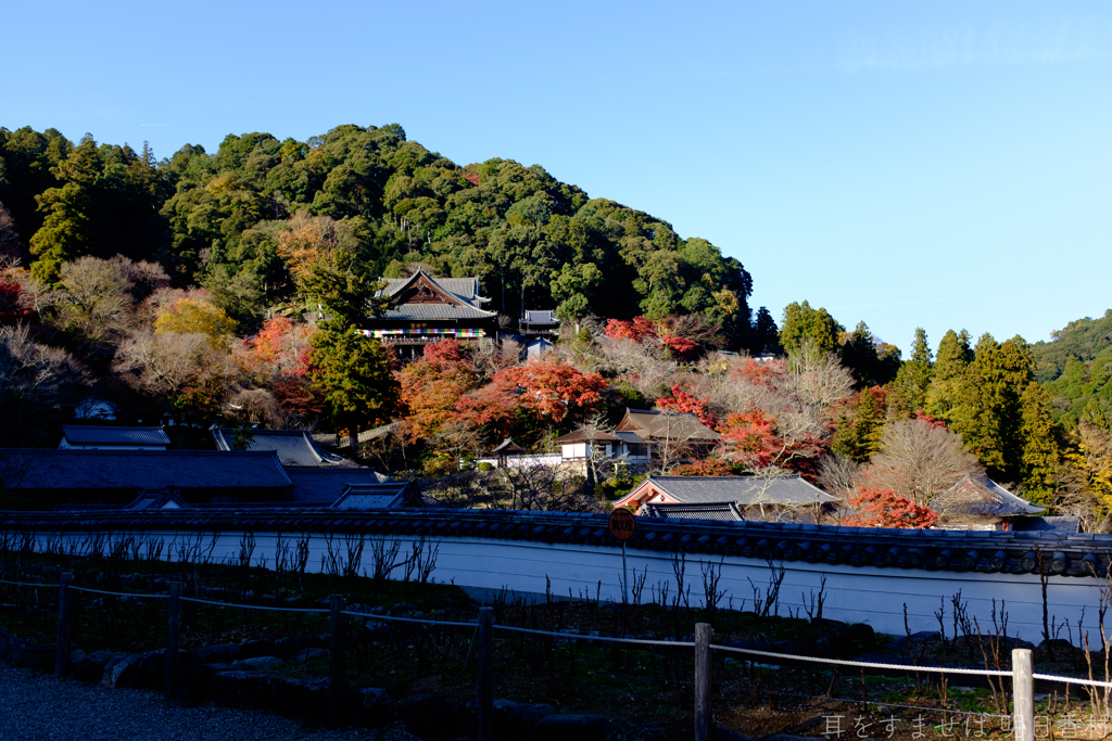 奈良県桜井市　長谷寺