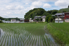 明日香村　大字平田