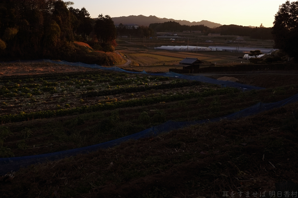 明日香村　大字平田