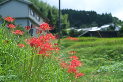 明日香村　大字立部