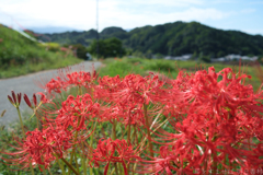 明日香村　大字阪田