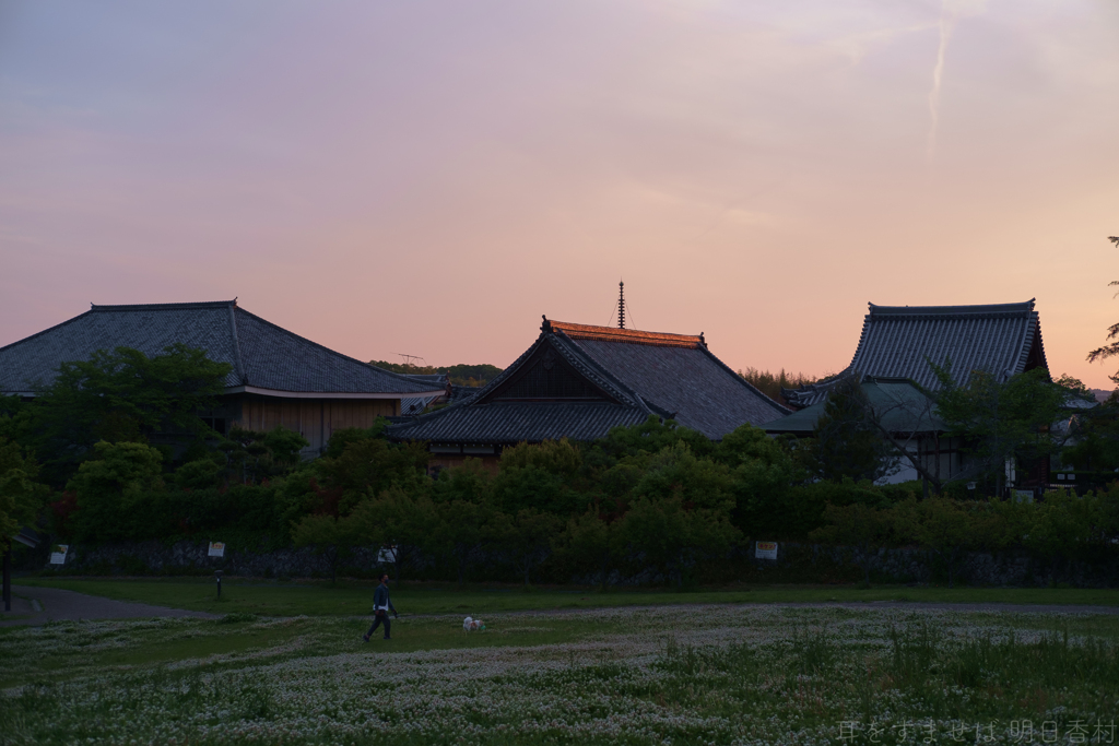 大阪府太子町（ 竹内街道　叡福寺 ）