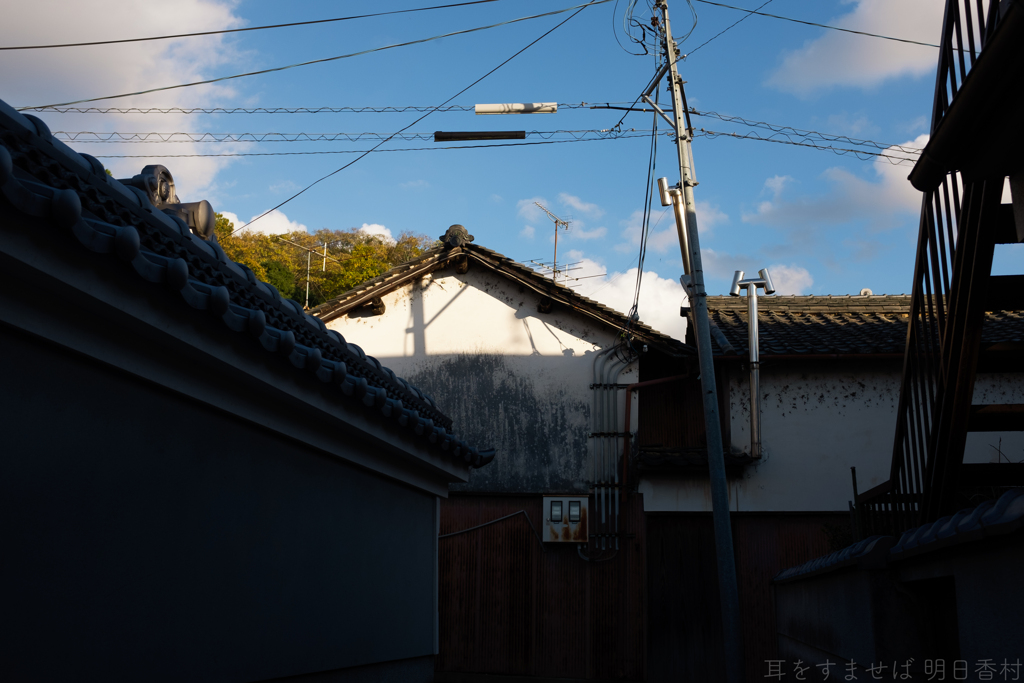 桜井市　山辺の道