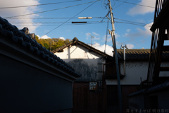 桜井市　山辺の道