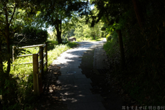 明日香村 大字島庄( 国営飛鳥歴史公園 祝戸地区 ) 明日香村 大字島庄( 国営飛鳥歴史公園 祝戸地区 )
