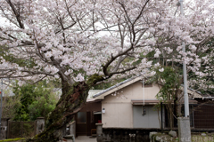 御所市 鳥井戸　妙相寺