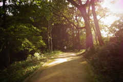 明日香村 大字豊浦 甘樫丘 明日香村 大字豊浦 甘樫丘