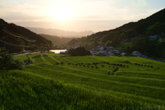 明日香村　大字細川