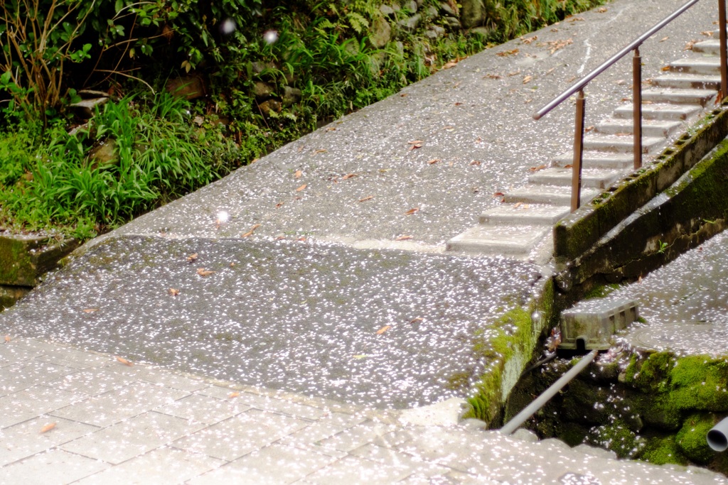 明日香村 大字岡 岡本寺