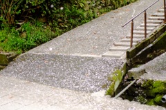 明日香村 大字岡 岡本寺