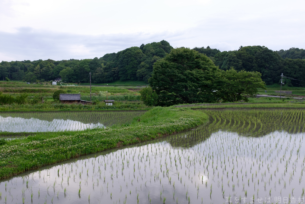 明日香村　大字岡