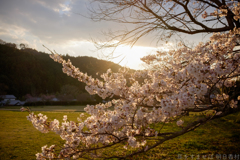 明日香村 大字島庄( 国営飛鳥歴史公園 石舞台地区 ) 明日香村 大字島庄( 国営飛鳥歴史公園 石舞台地区 )