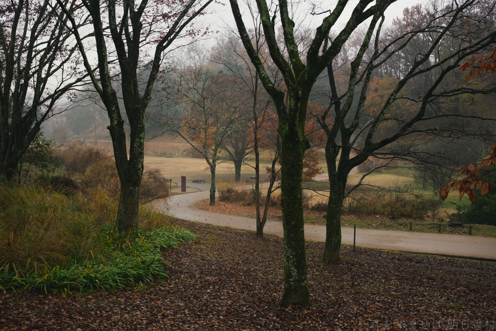 明日香村　大字平田（ 国営飛鳥歴史公園　高松塚周辺地区 ）
