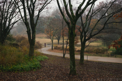 明日香村　大字平田（ 国営飛鳥歴史公園　高松塚周辺地区 ）