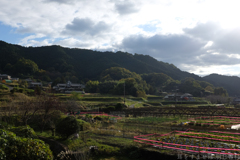 明日香村　大字阪田