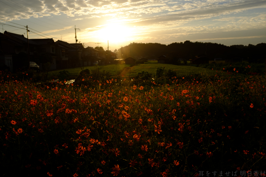 明日香村　大字岡