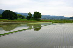 橿原市　天香久山（ あまのかぐやま ）付近