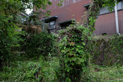 明日香村　大字平田