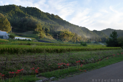 明日香村　大字稲渕