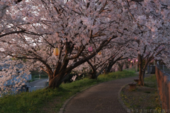 橿原市