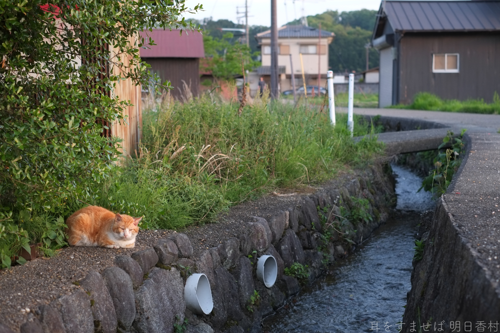 明日香村　大字岡（ 伝承飛鳥板蓋宮跡 ）