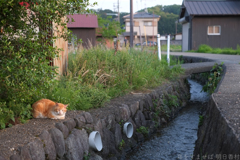 明日香村　大字岡（ 伝承飛鳥板蓋宮跡 ）