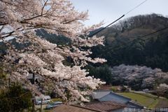 明日香村 大字稲渕 明日香村 大字稲渕