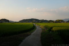 明日香村　大字飛鳥