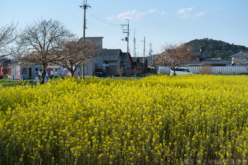 奈良県橿原市醍醐町