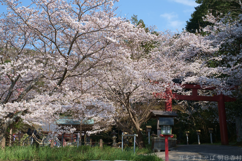 橿原市　畝火山口神社