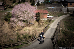 明日香村　大字稲渕