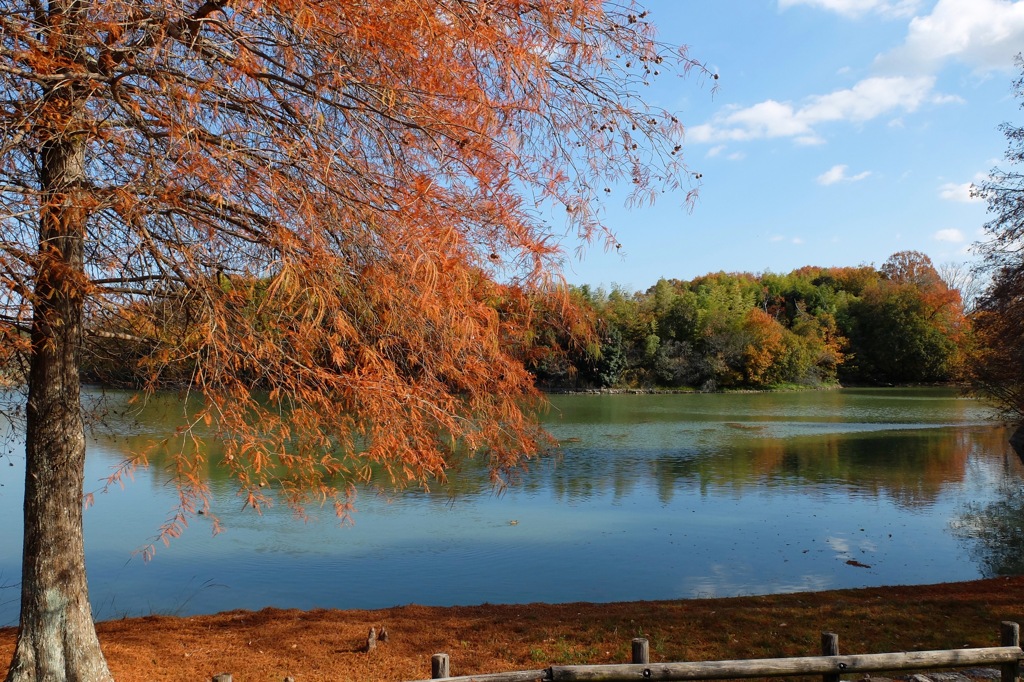 奈良県北葛城郡河合町、広陵町　馬見丘陵公園