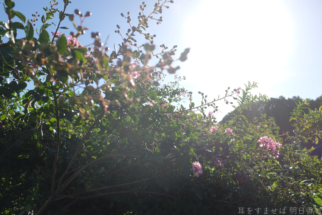 明日香村　大字飛鳥