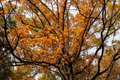 奈良県北葛城郡河合町、広陵町　馬見丘陵公園