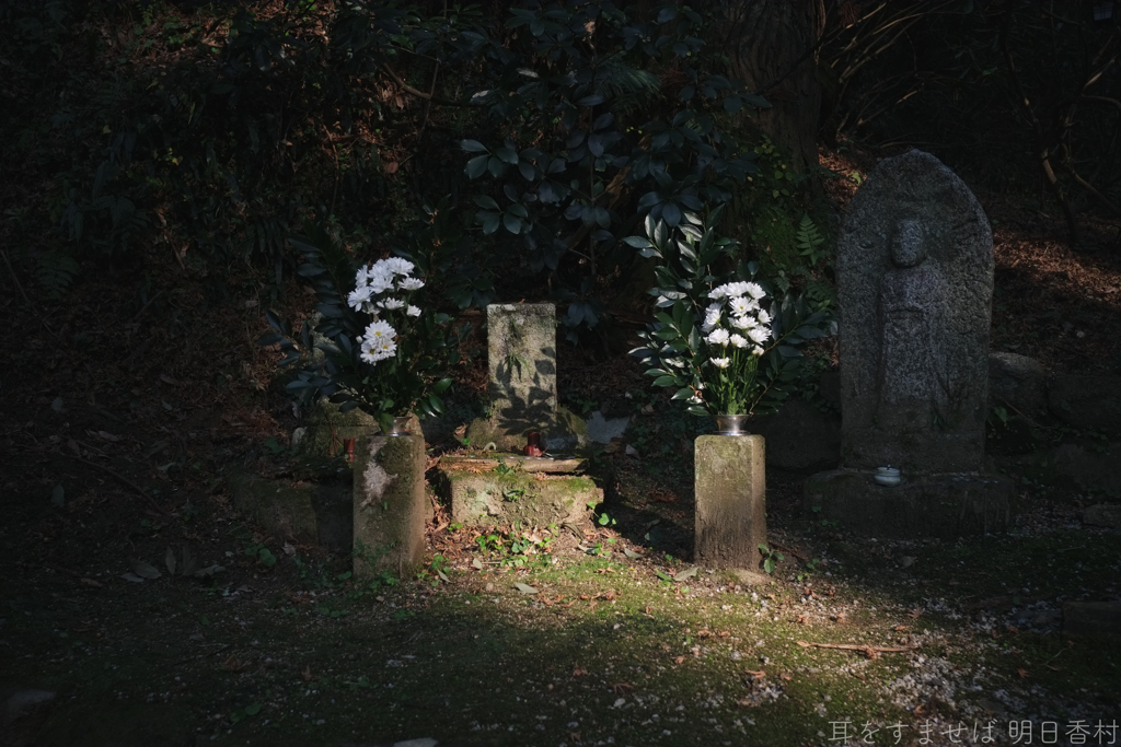 明日香村　大字岡（ 岡寺 ）