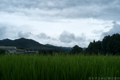 明日香村　大字川原