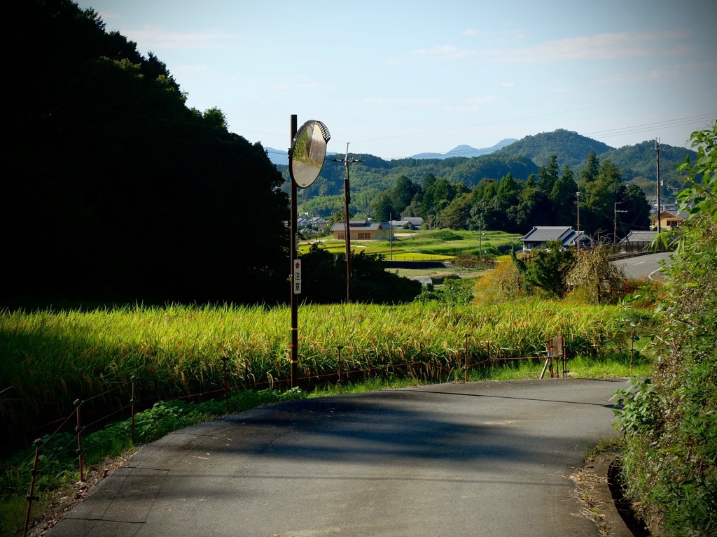 明日香村 大字大根田