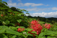明日香村　大字稲渕