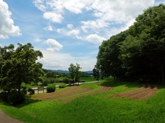 明日香村 豊浦 （ 甘樫丘 ）