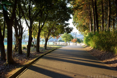明日香村　大字檜前　明日香村近隣公園