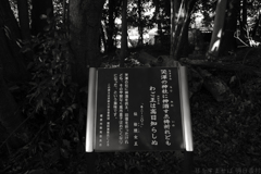 橿原市木之本町　畝尾都多本神社