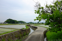 明日香村　大字奥山